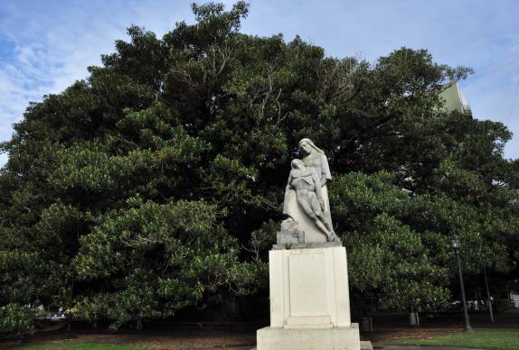 A gigantesca e centenária figueira da Recoleta, em Buenos Aires, na Argentina